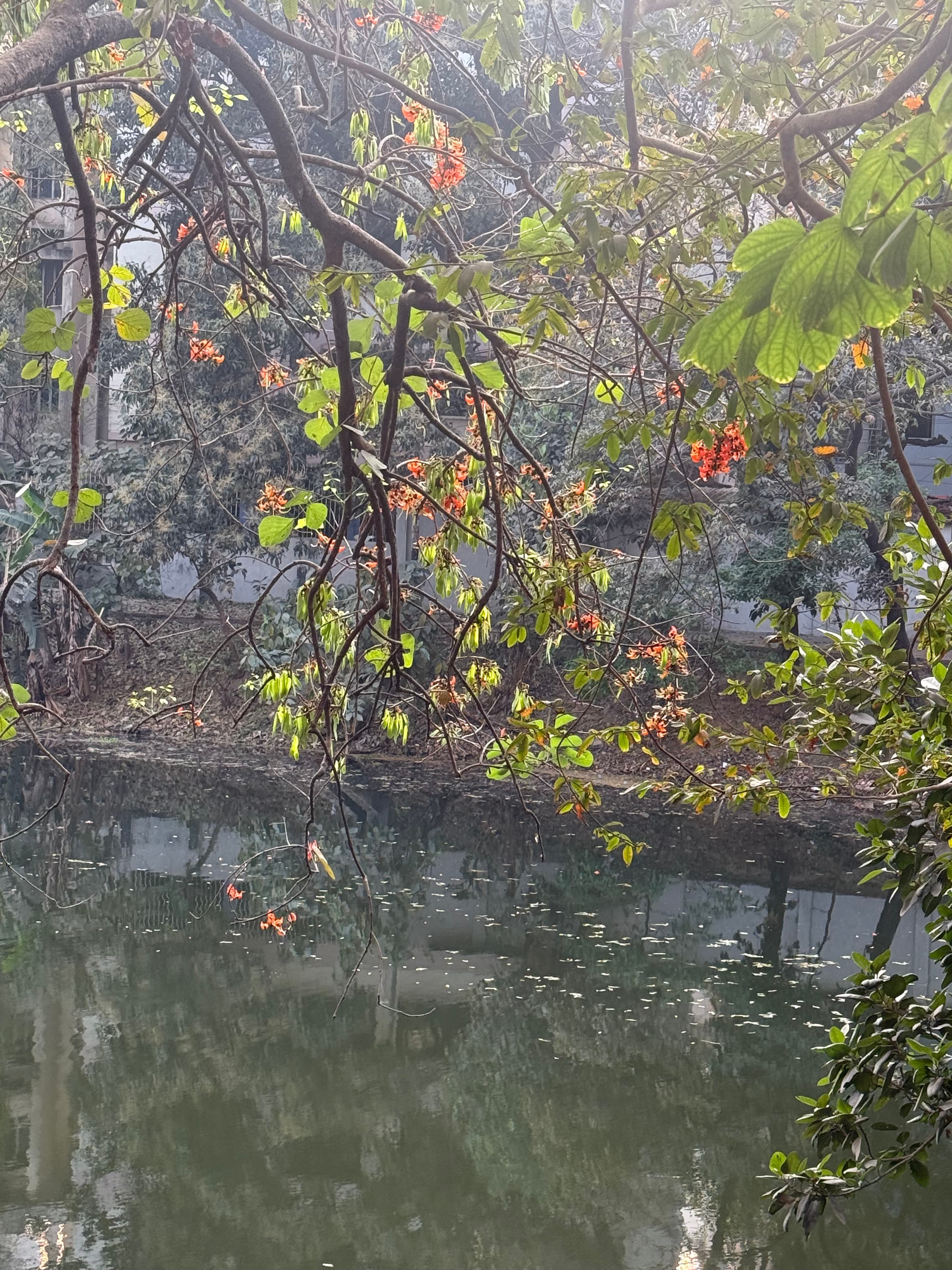 অস্তিত্বের গভীরে